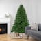 6.5ft. Unlit Full Sierra Noble Fir Artificial Christmas Tree